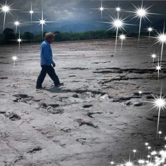 Meet your Posher, Lizbeth - Picture 1 of 1